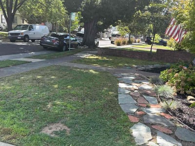 Lawn Care service in Fair Oaks, 95628