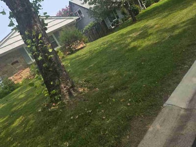 Lawn Care service in Lusby, 20657