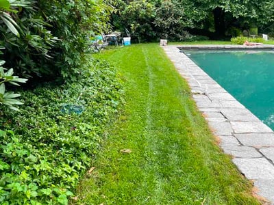 Lawn Care service in Danbury, 06810