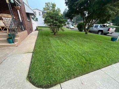 Lawn Care service in King Of Prussia, 19406