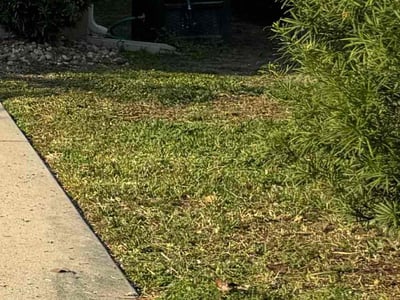 Lawn Care service in La Mesa, 91942