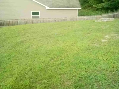 Lawn Care service in El Cajon, 92020