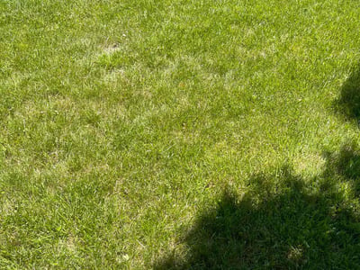 Lawn Care service in North Olmstead, 44070