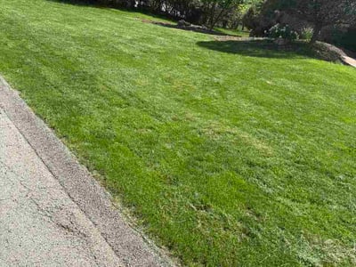 Lawn Care service in Monroeville, 15146