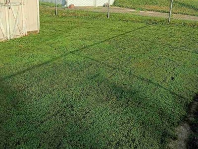 Lawn Care service in Dunbar, 15431