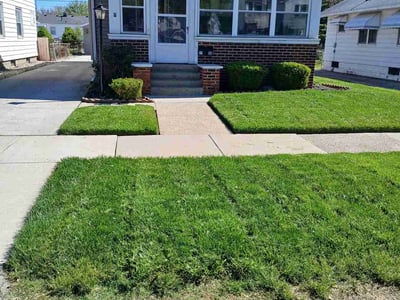 Lawn Care service in Swanton, 43558