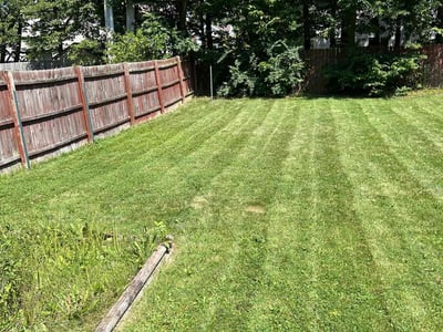 Lawn Care service in Dunbar, 15431