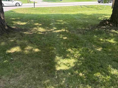 Lawn Care service in Collegeville, 19426