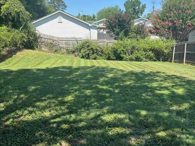 Lawn Care service in Jamestown, 27282