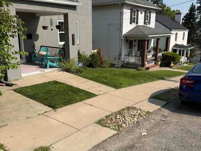 Lawn Care service in ,
