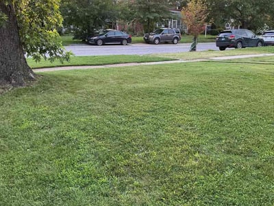 Lawn Care service in Dundalk, 21222