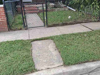 Lawn Care service in Dundalk, 21222