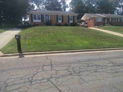 Lawn Care service in Jamestown, 27282