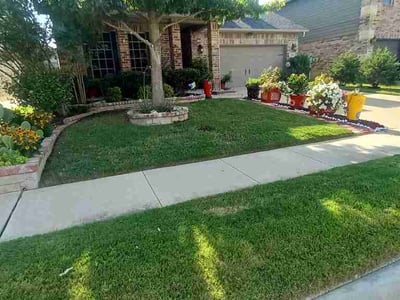 Lawn Care service in Colleyville, 76034