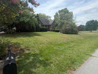 Lawn Care service in Jamestown, 27282