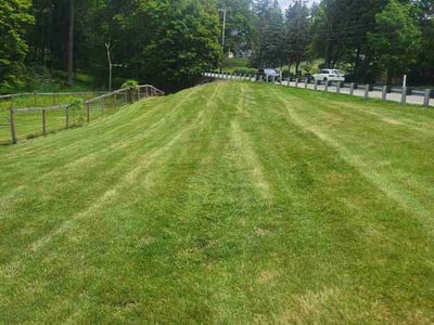 Lawn Care service in Monongahela, 15063