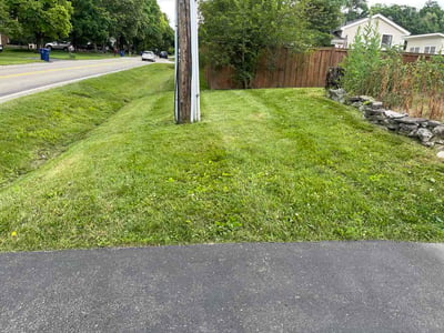 Lawn Care service in London, 43140