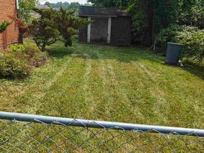 Lawn Care service in London, 43140