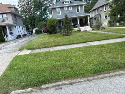 Lawn Care service in Lakewood, 44107