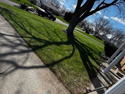 Lawn Care service in Maumee, 43537