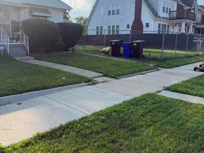Lawn Care service in Sacramento, 95814