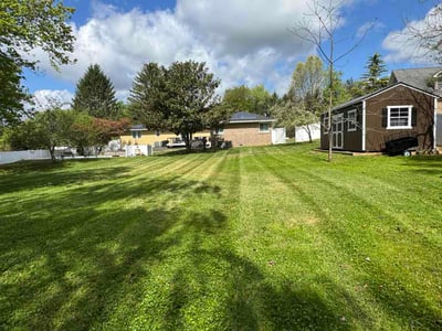 Lawn Care service in Elkridge, 21075