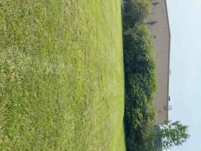 Lawn Care service in Youngstown, 44503
