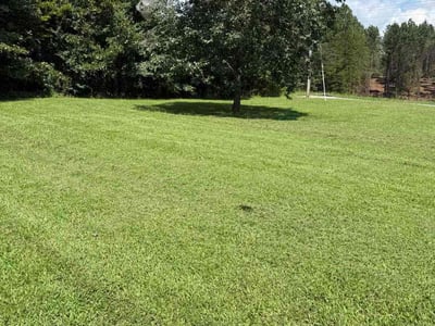 Lawn Care service in Belmont, 28012