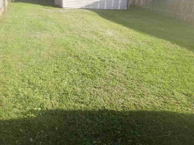 Lawn Care service in Wauseon, 43567