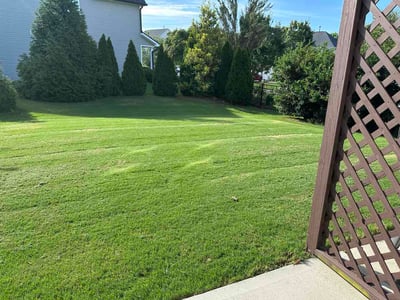 Lawn Care service in Stallings, 28104
