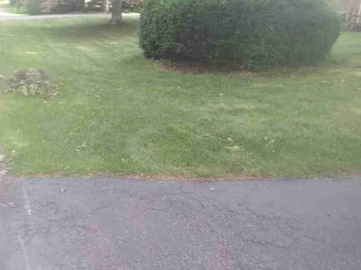 Lawn Care service in Wauseon, 43567