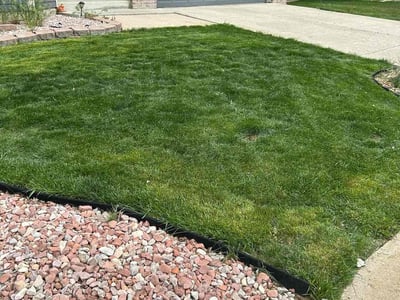 Lawn Care service in Thornton, 80229
