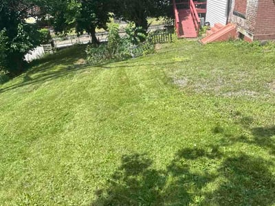 Lawn Care service in Dormont, 15216