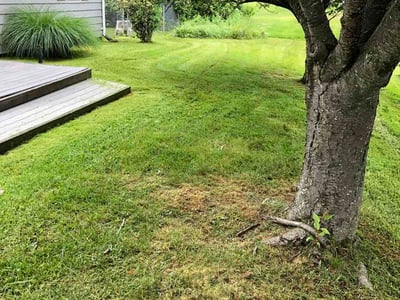 Lawn Care service in Abingdon, 21009