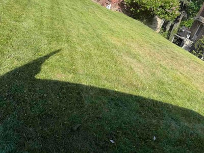 Lawn Care service in Dormont, 15216