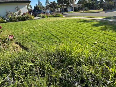 Lawn Care service in Buena Park, 90621