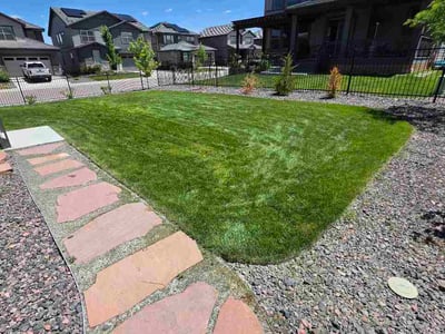 Lawn Care service in Morrison, 80465