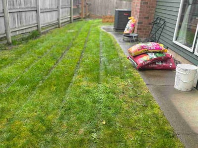 Lawn Care service in Happy Valley, 97086