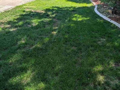 Lawn Care service in Morrison, 80465
