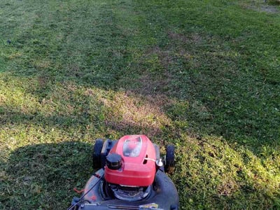 Lawn Care service in Wantagh, 11793