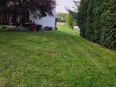 Lawn Care service in Reading, 19601
