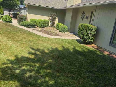 Lawn Care service in Wantagh, 11793