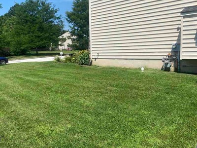 Lawn Care service in Coatesville, 19320