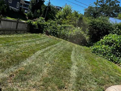 Lawn Care service in Candler, 28715