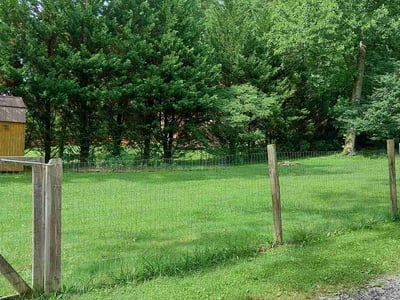Lawn Care service in Candler, 28715