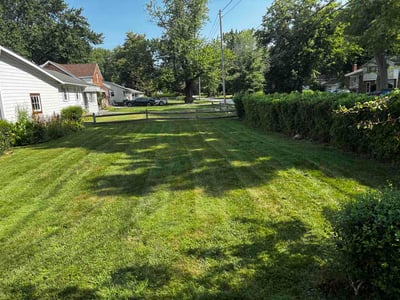 Lawn Care service in Mentor, 44060