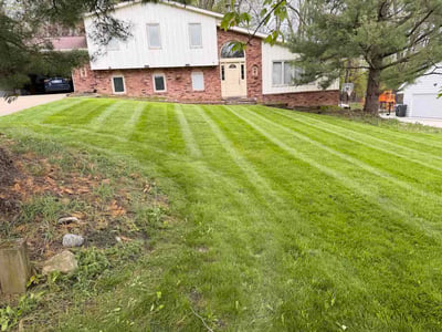 Lawn Care service in Mentor, 44060