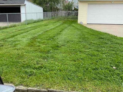 Lawn Care service in Mentor, 44060