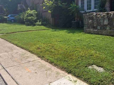 Lawn Care service in Monroe, 45044