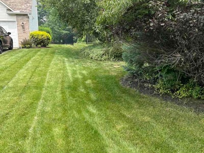 Lawn Care service in Medina, 44256